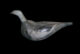 Vase en forme d’oiseau découvert à Pompéi