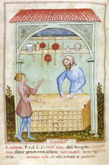 Miniature, une échoppe au Moyen Âge, Tacuinum sanitatis